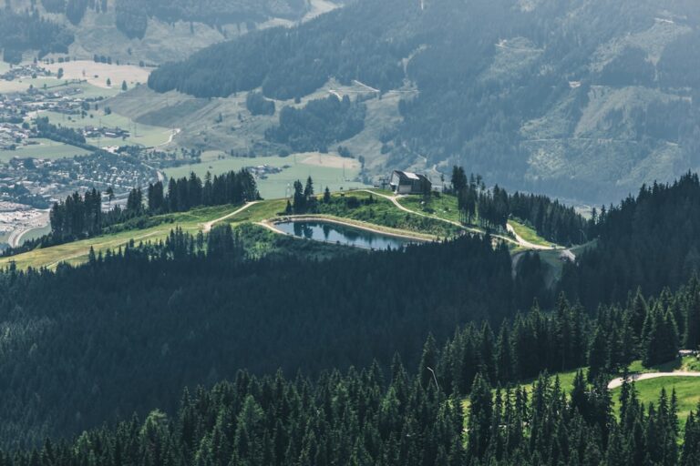 Photo Paraglider, Alps